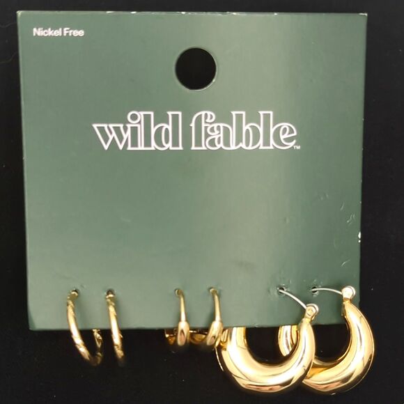 Wild Fable – Gold Hoop Earring Set – Nickel Free - Minimalist Chic - NWT - Picture 3 of 4